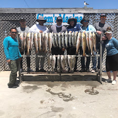 Fishing group showing their catch at Clems Marina